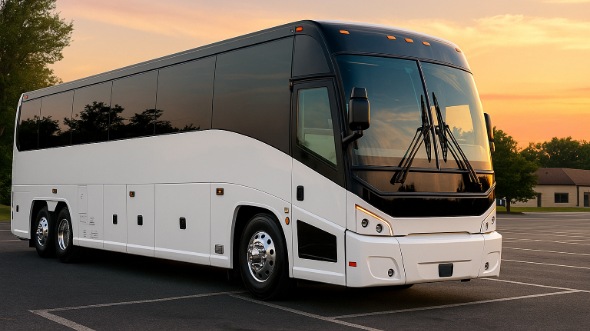 lodi bachelor and bachelorette party bus rentals